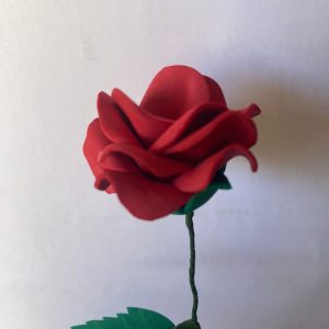 Rosa roja con tallo y hojas verdes