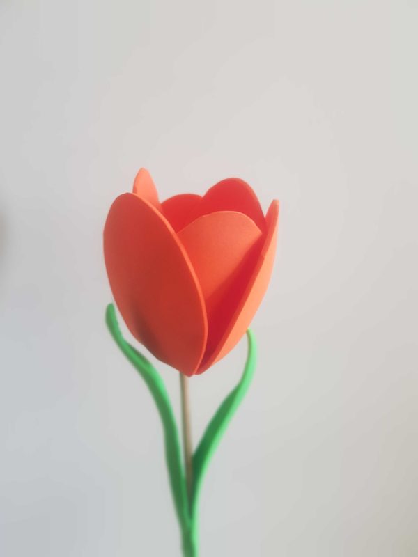 un tulipán color naranja
