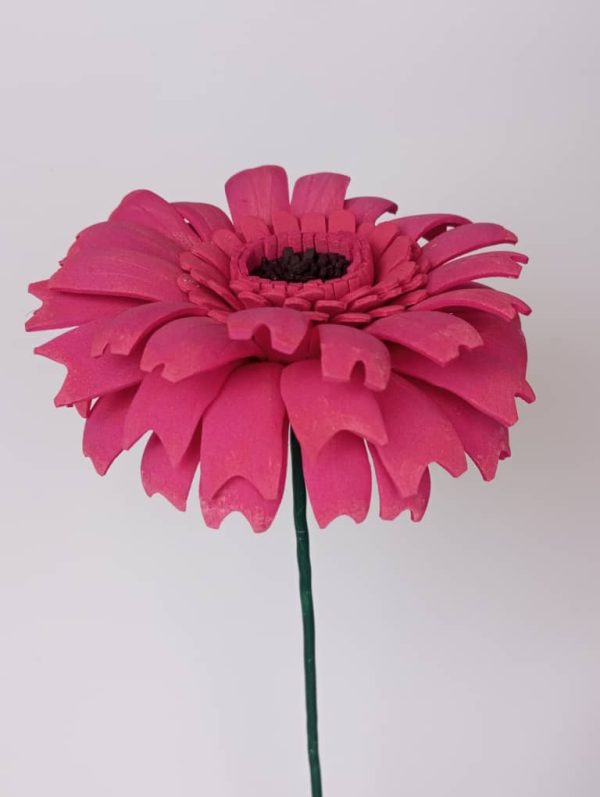 Una flor gerberas rosada