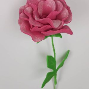 una rosa rosada de tres pétalos y tallo verde