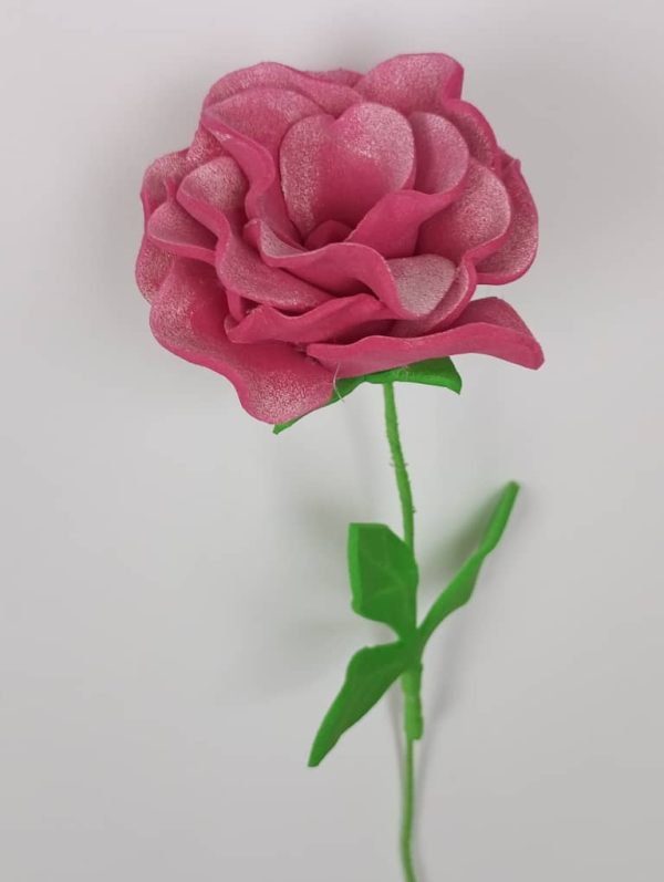 una rosa rosada de tres pétalos y tallo verde