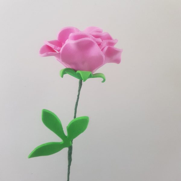 una rosa rosada con tallo y hojas verdes
